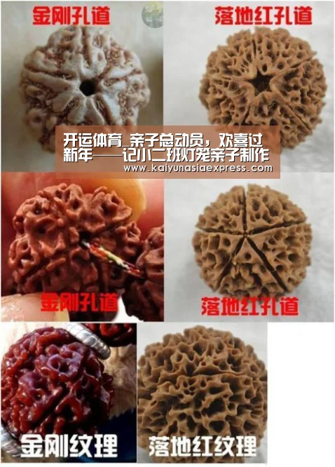 开运体育_亲子总动员,欢喜过新年——记小二班灯笼亲子制作活动(图1) 开运竞猜