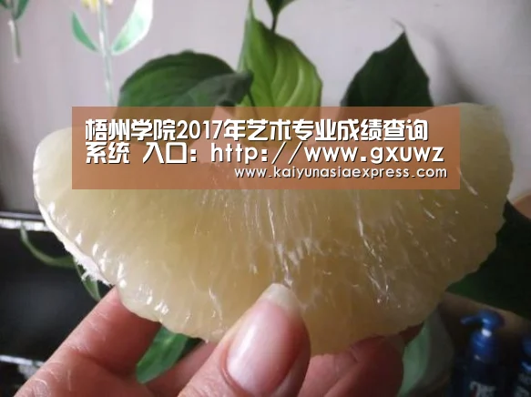 梧州学院2017年艺术专业成绩查询系统 入口:http://www.gxuwz.edu.cn/2015cjcx.php-开运竞猜(图1) 开运体育