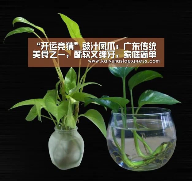 “开运竞猜”豉汁凤爪:广东传统美食之一,酥软又弹牙,家庭简单做法(图2) 开运赛事